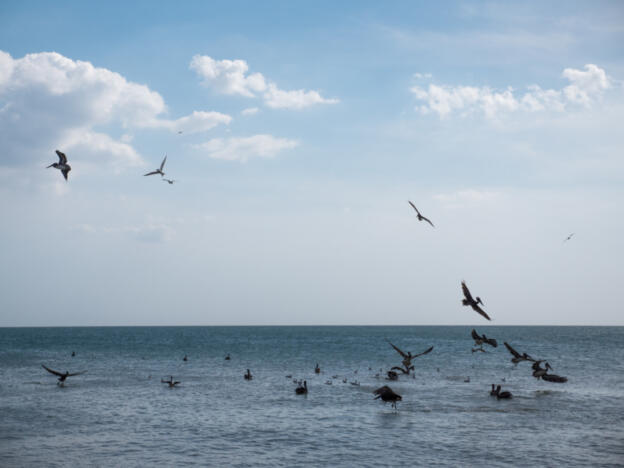 Cabo de la Vela - Ojo del Agua