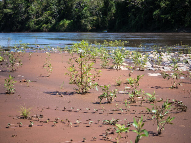 Parque Nacional Madidi