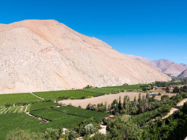 Valle de Elqui