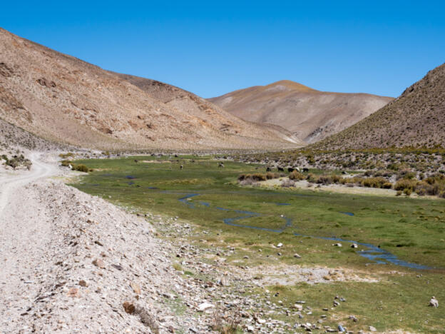 Quebrada de Calalaste - From Antofagasta de la Sierra to Antofalla