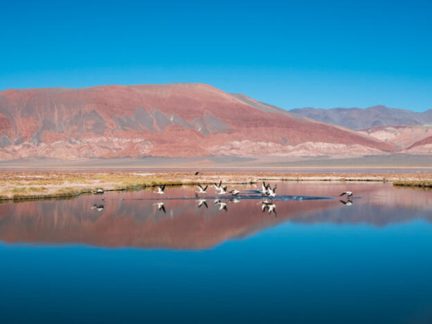 Laguna Carachi Pampa