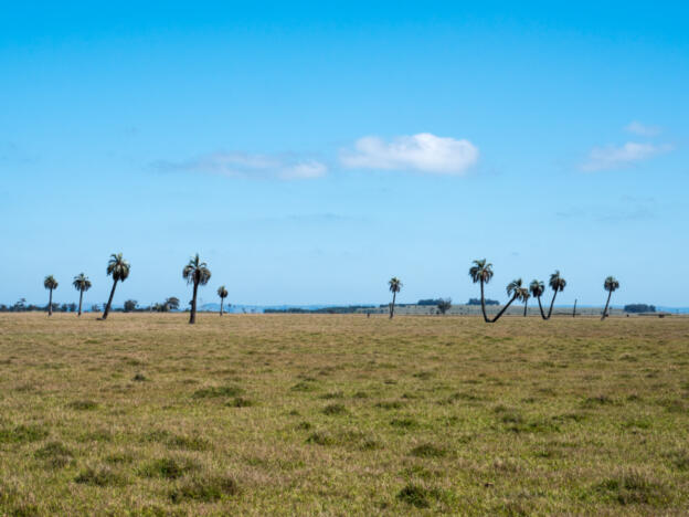 From La Paloma to Punta del Diablo