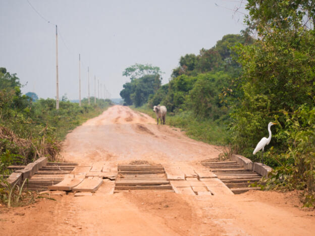 Pantanal - Transpantaneira (North)