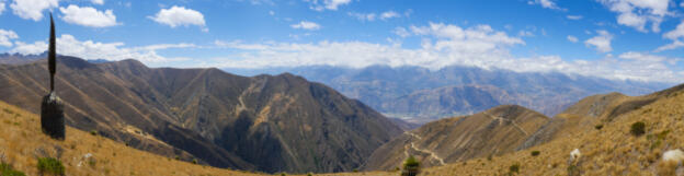 Punta Winchus - Puya Raimondii