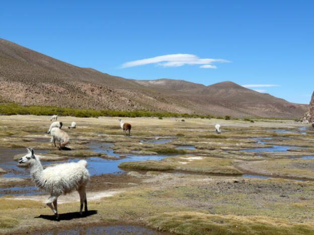Von San Agustín nach Villa Alota