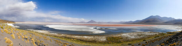 Laguna Colorada