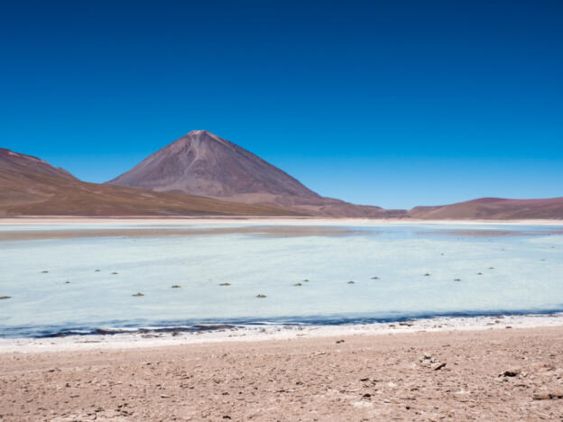Laguna Blanca - Volcán Licancábur