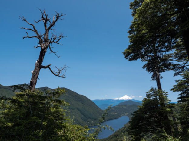 Parque Nacional Huerquehue - Lago Tinquilco & Volcán Villarrica