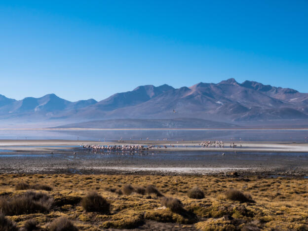 Laguna Salinas